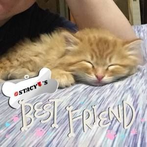 Meet your Posher, Stacy